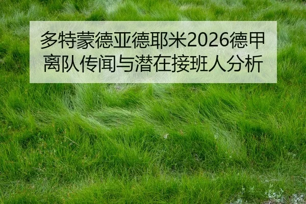 多特蒙德亚德耶米2026德甲离队传闻与潜在接班人分析