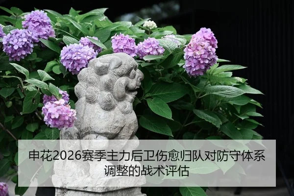 shen-hua-sai-ji-zhu-li-hou-wei-shang-yu-gui-dui-dui-fang-shou-ti-xi-tiao-zheng-de-zhan-shu-ping-gu-2-450.jpg